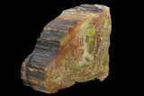 5.9" Thick, Polished Petrified Wood Section - Arizona - #129459-2
